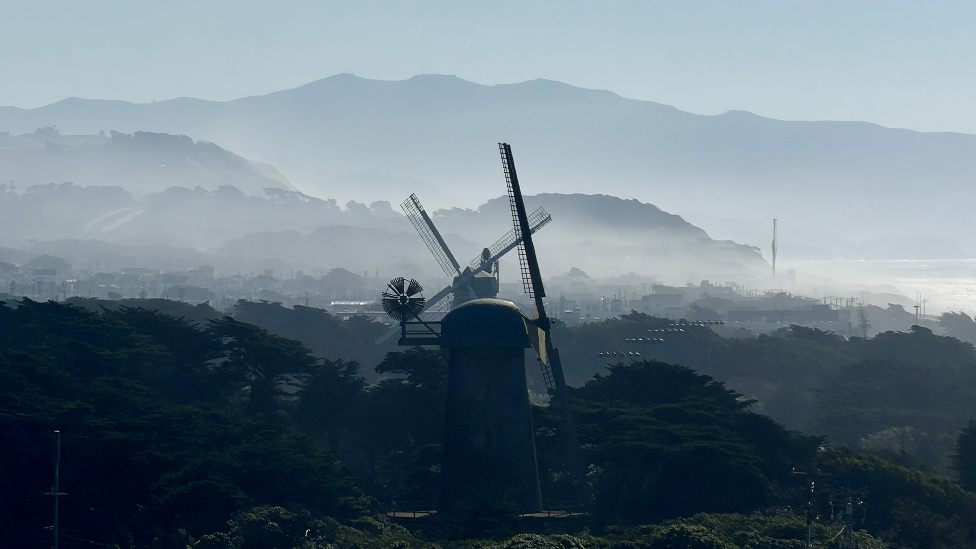 Wynmûnen yn Golden Gate Park