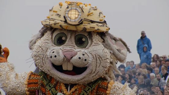 Tekort aan inkomsten en vrijwilligers zet Fruitcorso onder druk