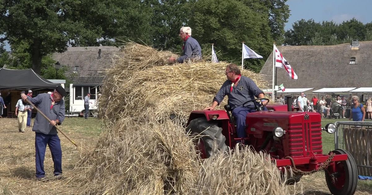 Oogstdag Lhee - RTV Drenthe