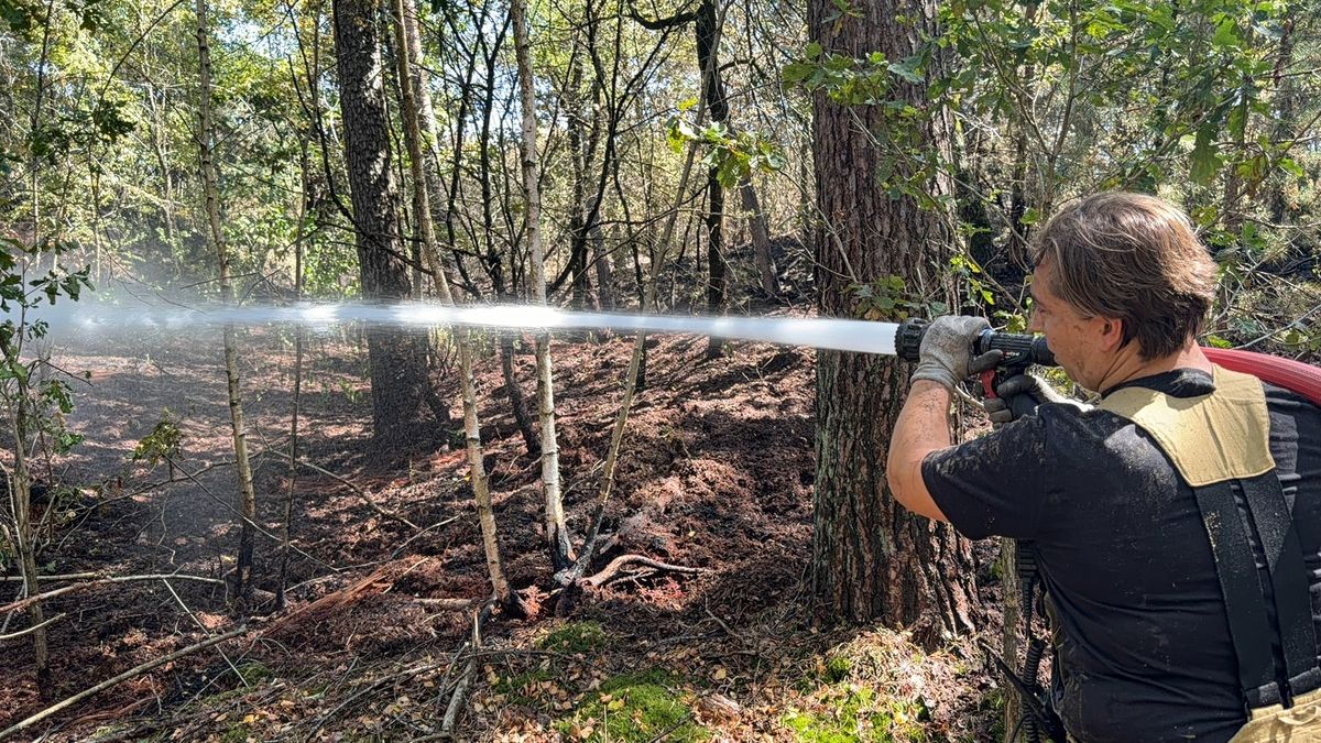 Einde aan natuurbrand Boschhuizerbergen: regen brengt verlossing