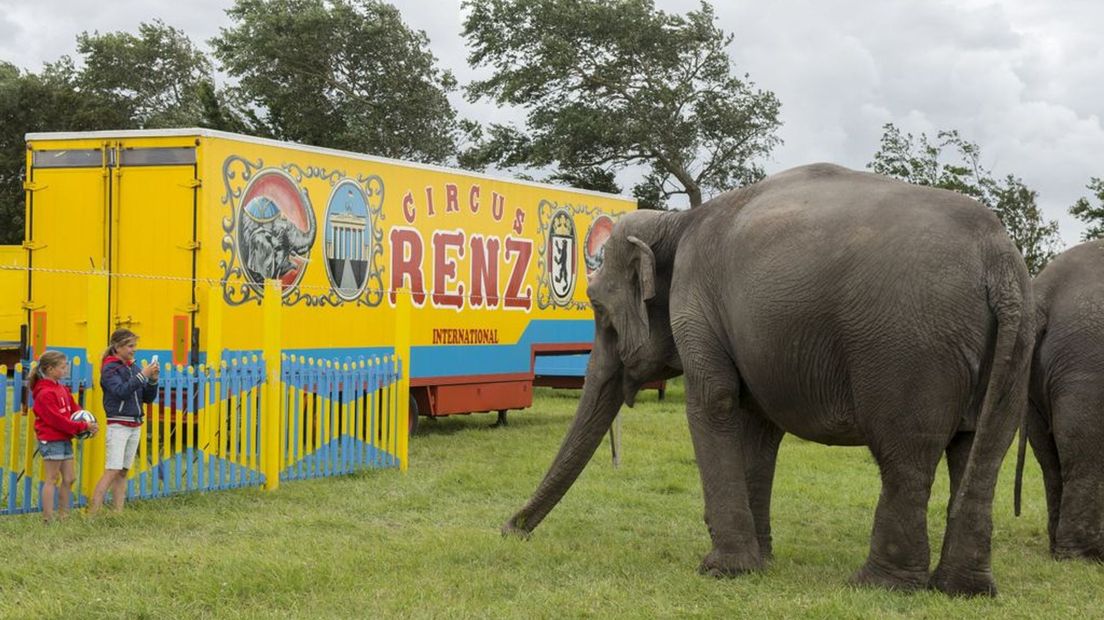 Een circuswagen van de familie Renz.