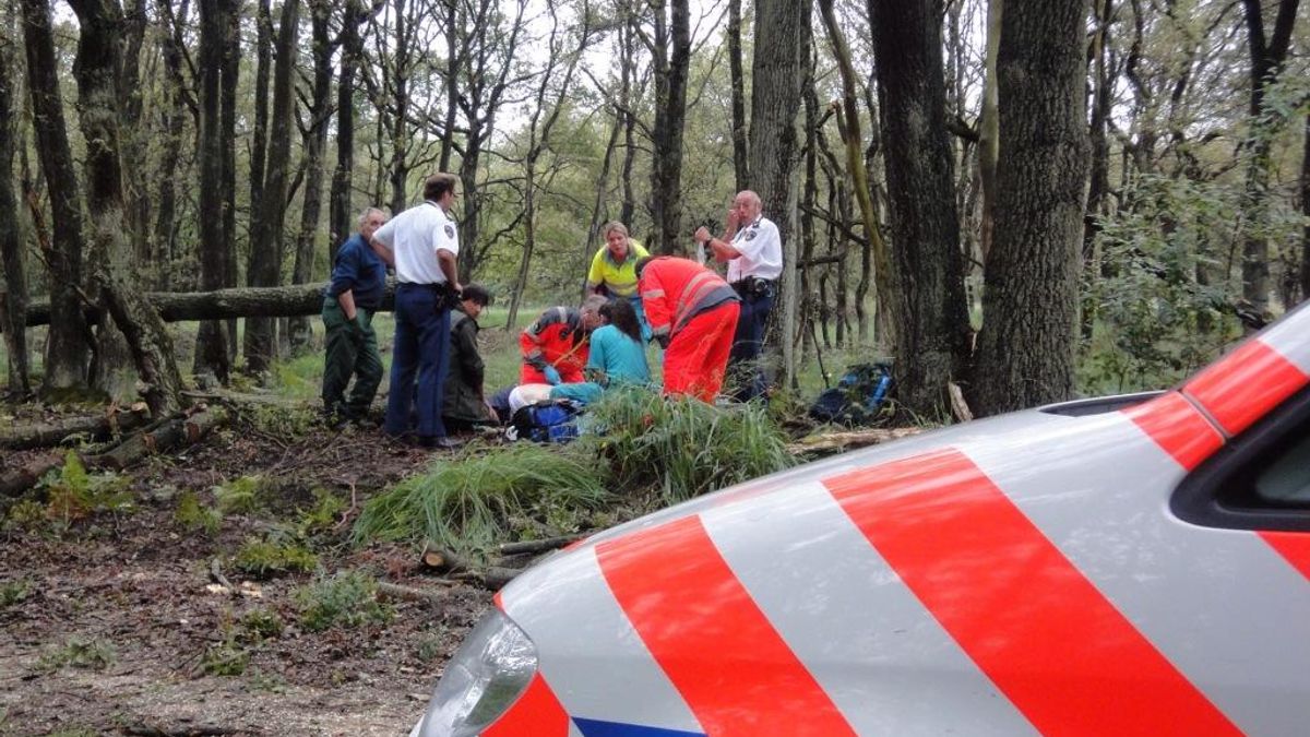 Man overleden bij omzagen boom in Vlodrop