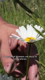 Speciale foto's van dieren