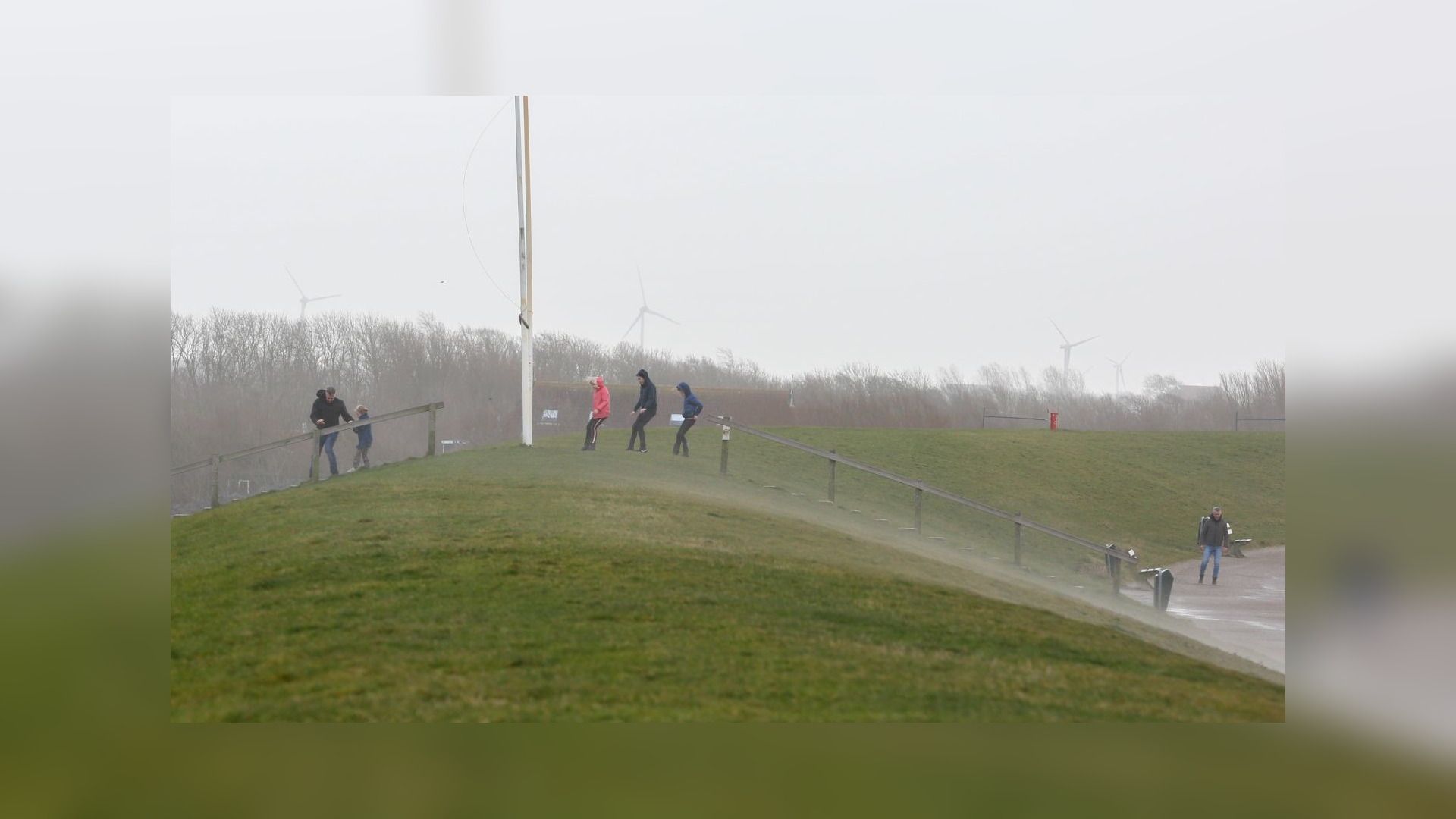 Op de Harlinger zeedijk