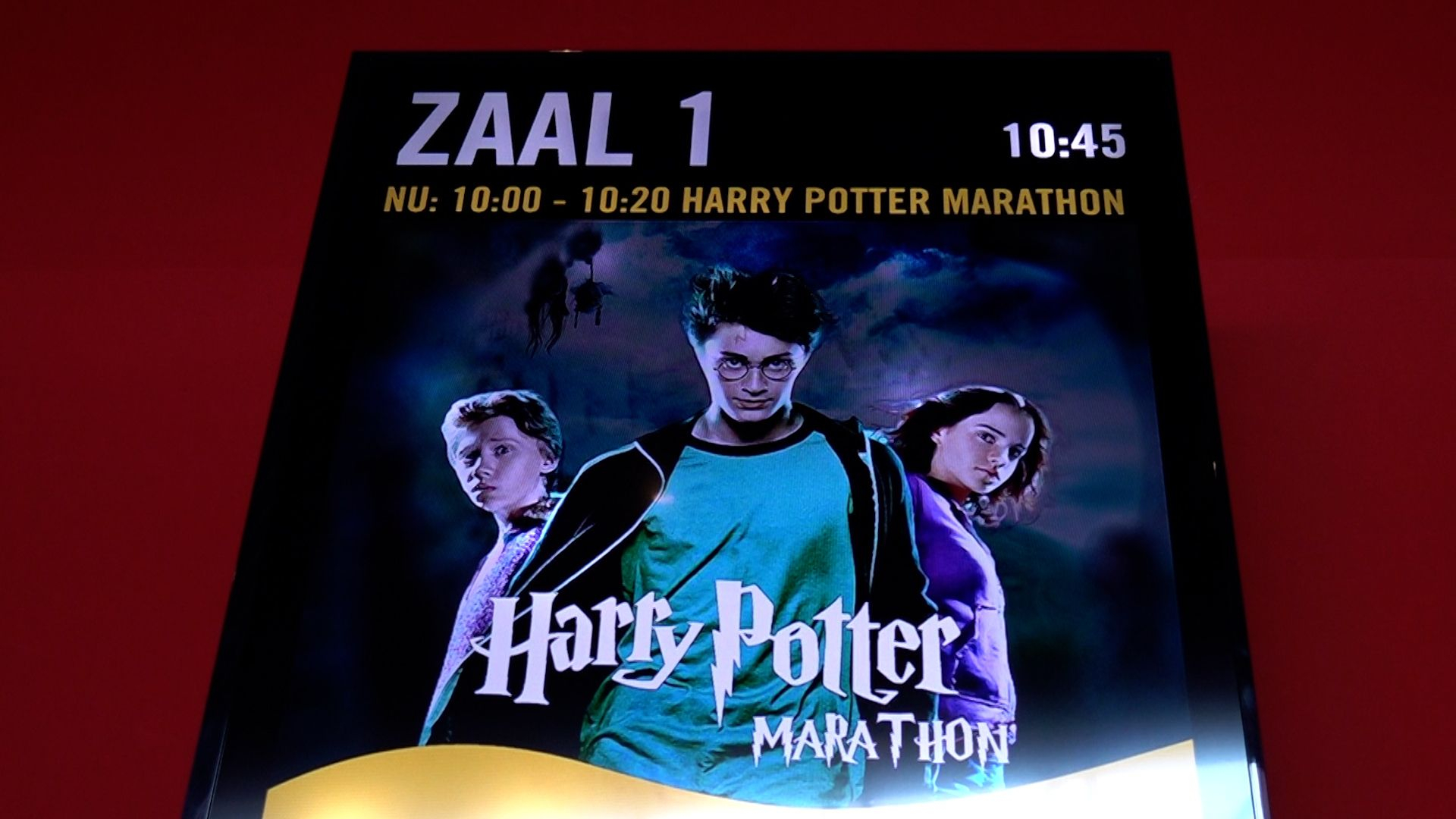 Magie of waanzin? 150 fans kijken álle Potter-films achter elkaar