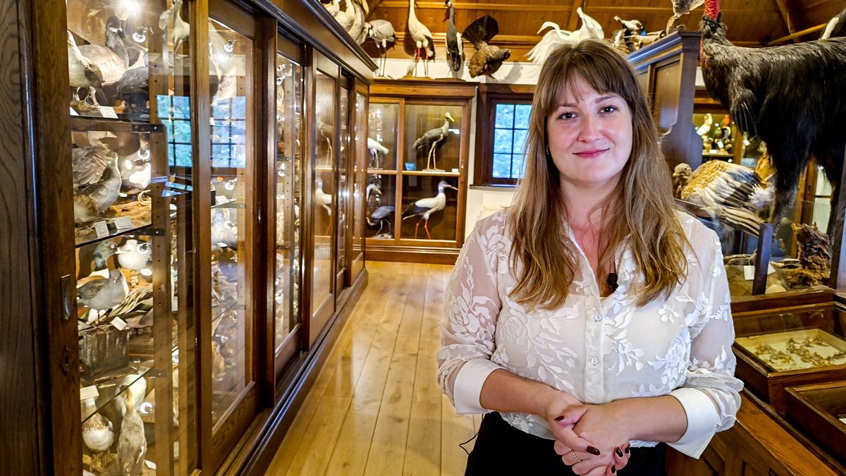 Grootse plannen voor museum Natura Docet in Denekamp: 