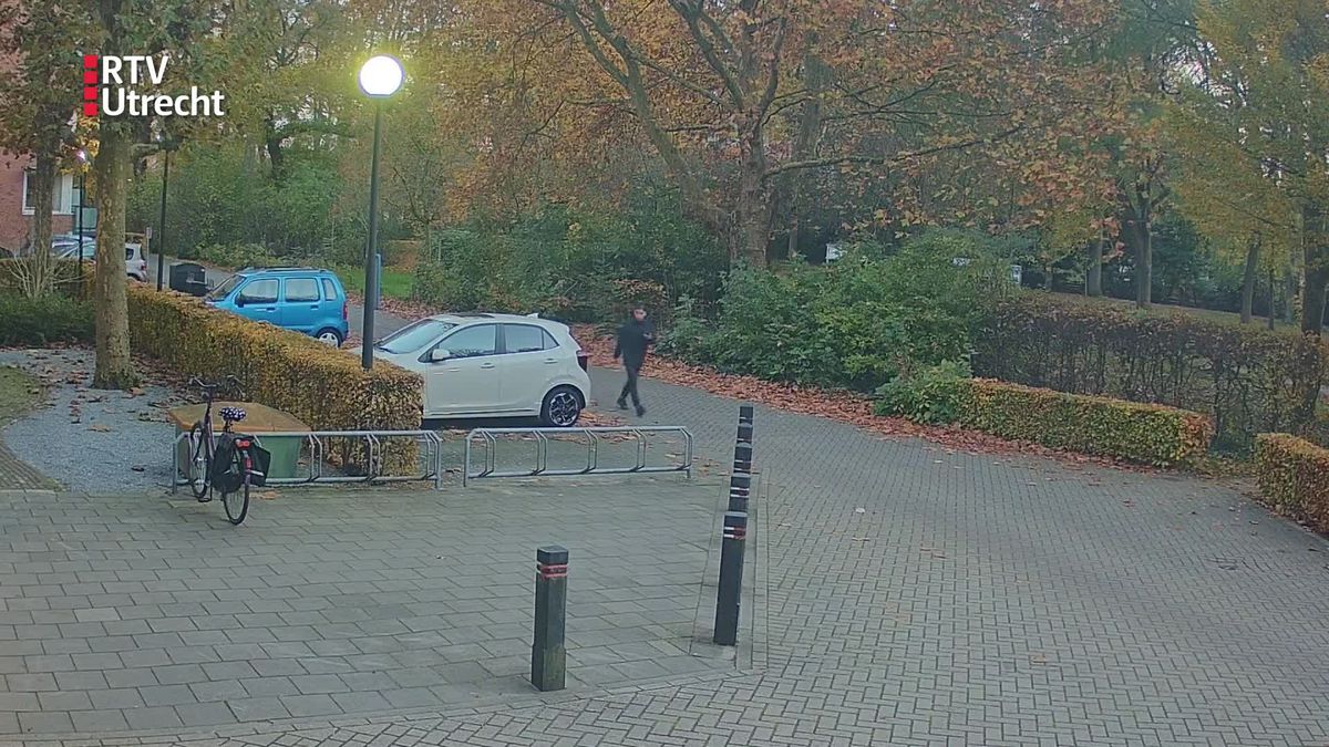 Sieradendief slaat toe in Woerden