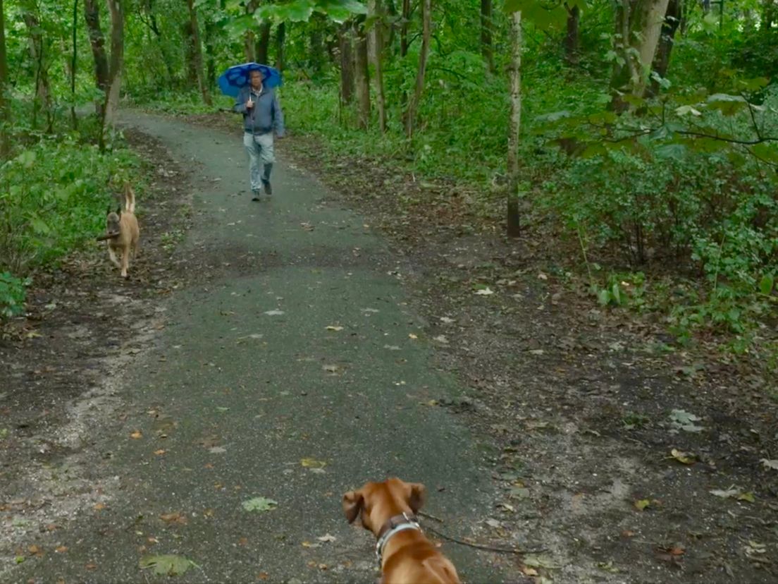 Een van de natuurgebieden in Hoek van Holland waar het om gaat