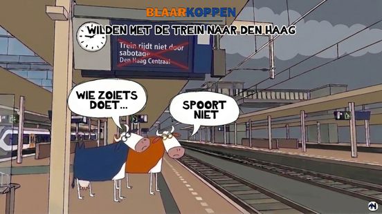 Blaarkoppen stranden door sabotage op het spoor