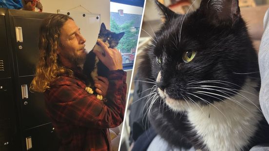 Vermiste Poes werd 150 kilometer verderop gevonden: 'Ze heeft voorlopig huisarrest'