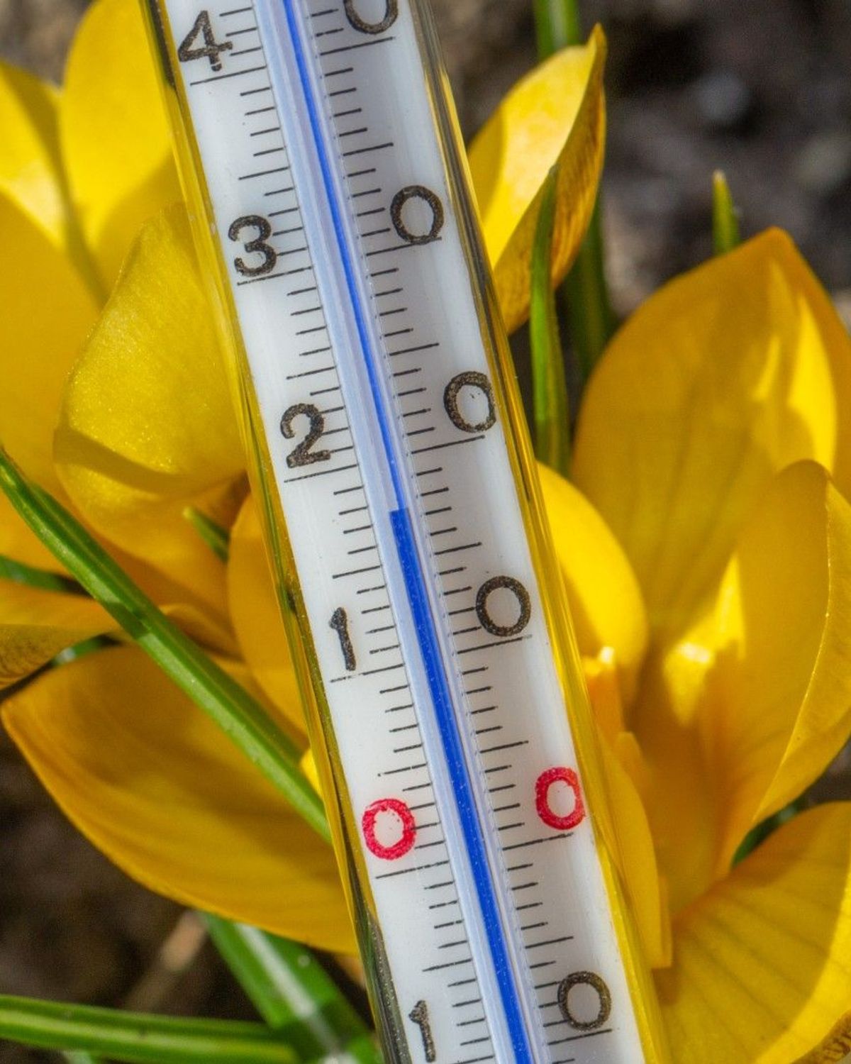 Eerste warme dag, boven de 20 graden, dit jaar in Gelderland - Omroep ...