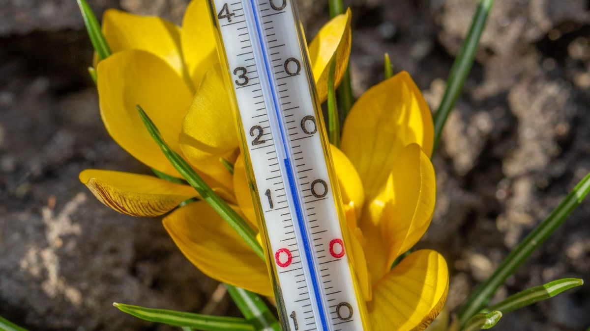 Eerste warme dag, boven de 20 graden, dit jaar in Gelderland - Omroep ...