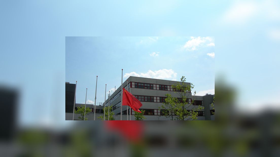 De flagge fan Sina healstôk