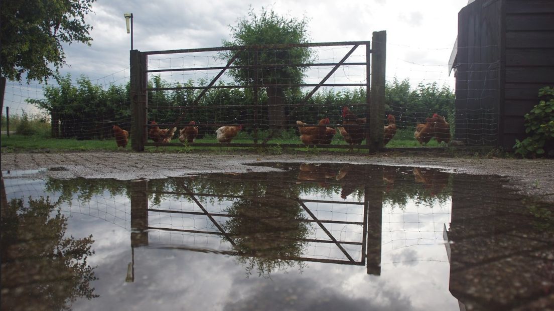 Plassen na de flinke bui in 's-Heerenhoek