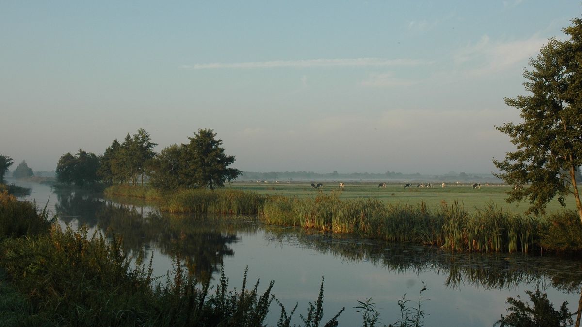 Polders en landbouwgrond bij Oldeholtpade tot natuur gemaakt in beekdal De Lende
