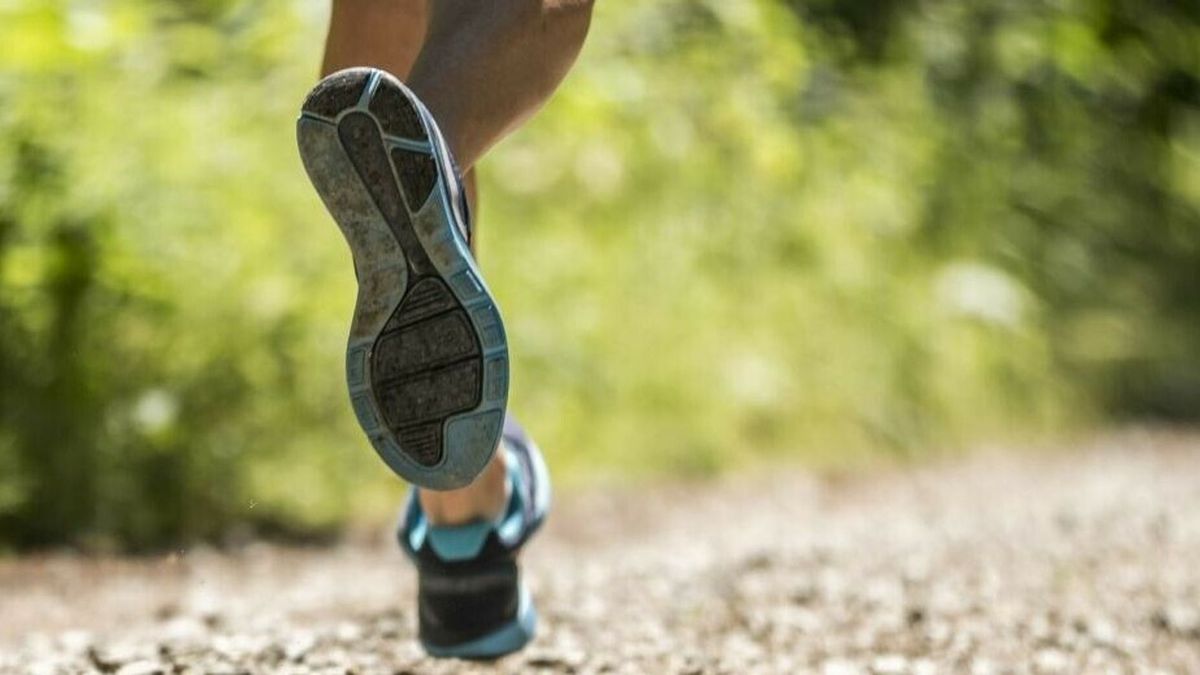 Belg De Muyt haantje de voorste in Scheldesportloop