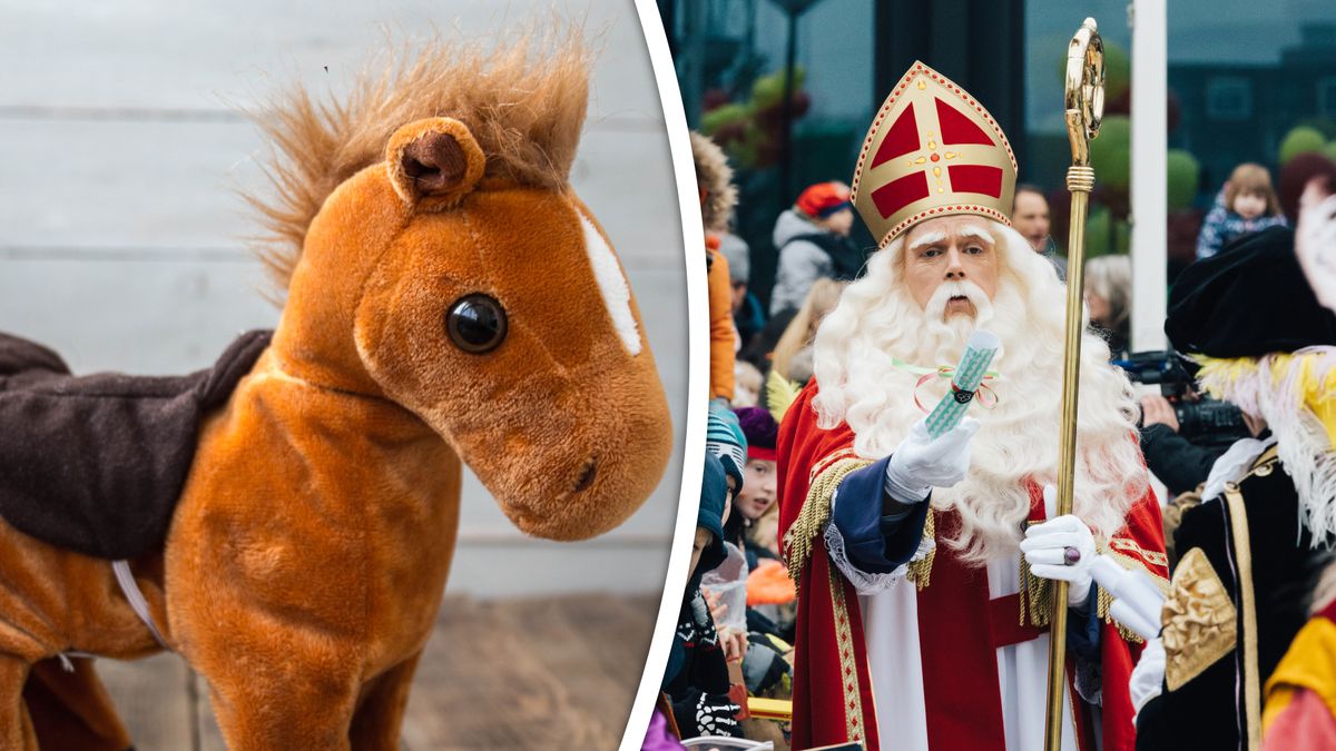 Nooit meer een schimmel door zijn hoeven: ‘Vervang paard van de Sint door een knuffelbeest