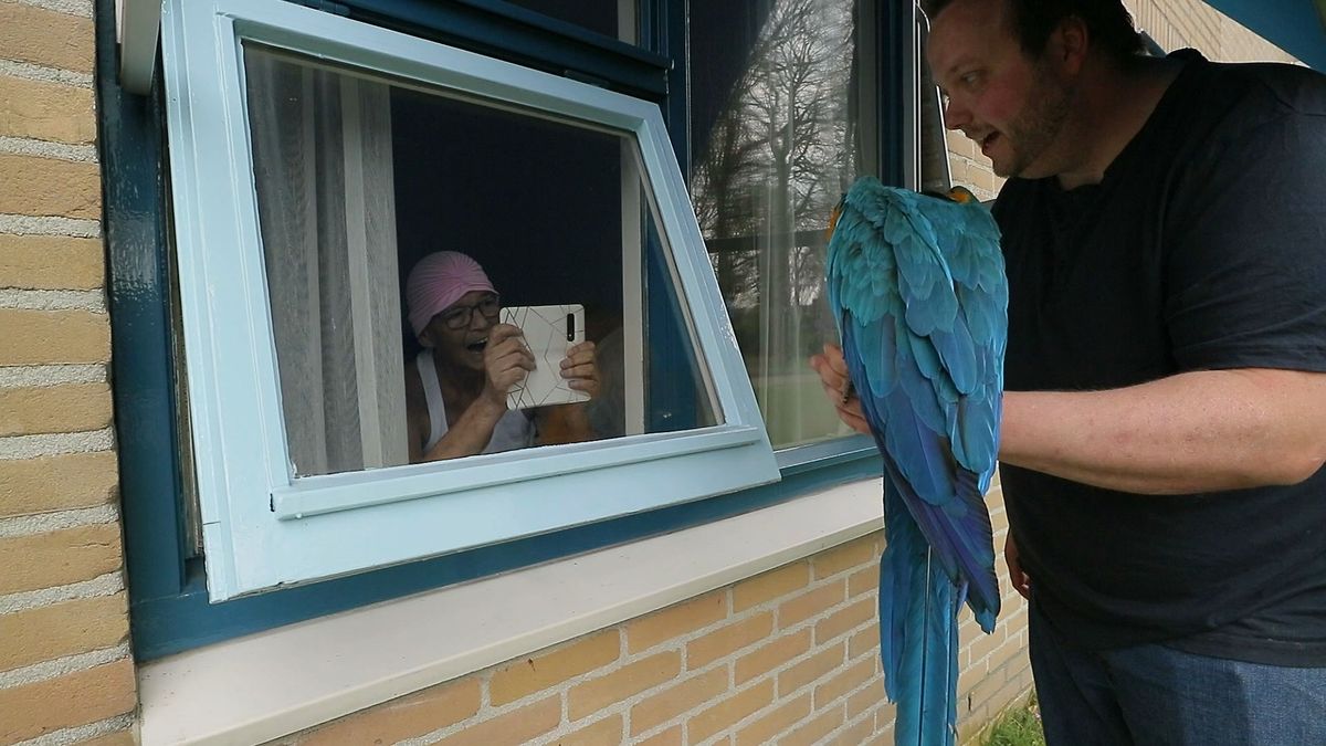 Papegaaienman uit Noordbroek maakt eenzame thuiszitters blij
