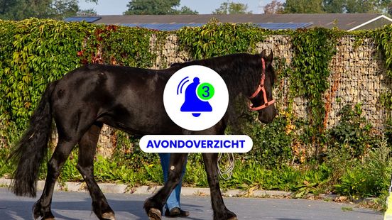 Paard op drift, restaurant stopt en brand bij de buren op woensdag 23 september