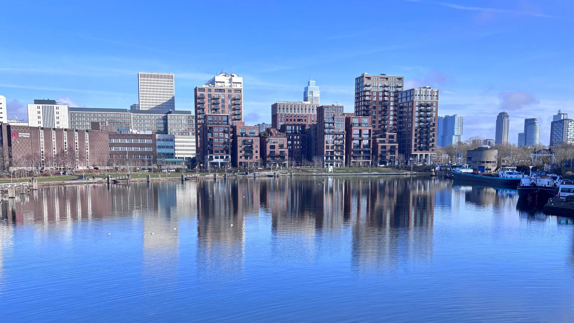 Een stralend blauwe lucht afgelopen weekend in Rotterdam-West.