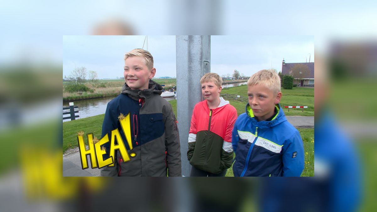 HEA! Autospotten op de brug bij Workum