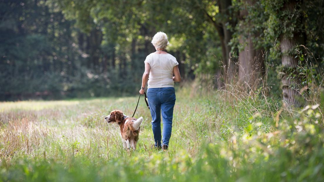 Honden zijn welkom als ze aangelijnd zijn (Rechten: Natuurmonumenten/Pauline Joosten)