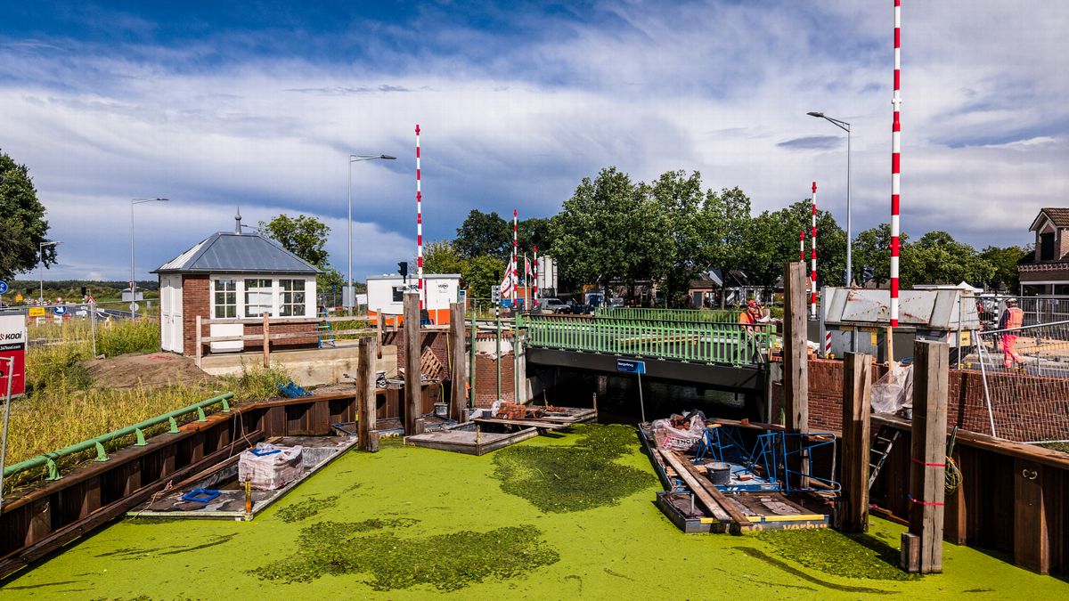 Na maandenlange vertraging gaat bouw Norgerbrug weer verder; beschermde zwaluwen zijn weg