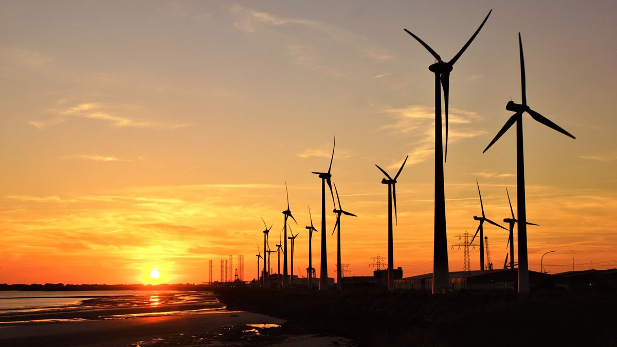 Zebra-windpark bij Rilland definitief, stroom voor 75.000 huizen
