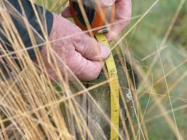 Hoe weten we of het Dwingelderveld verdroogt?