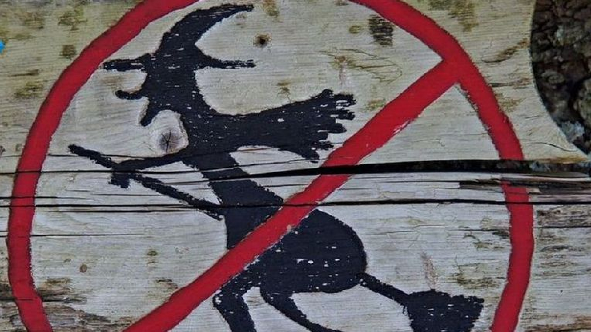 Montferland in de race voor nationaal heksenmonument