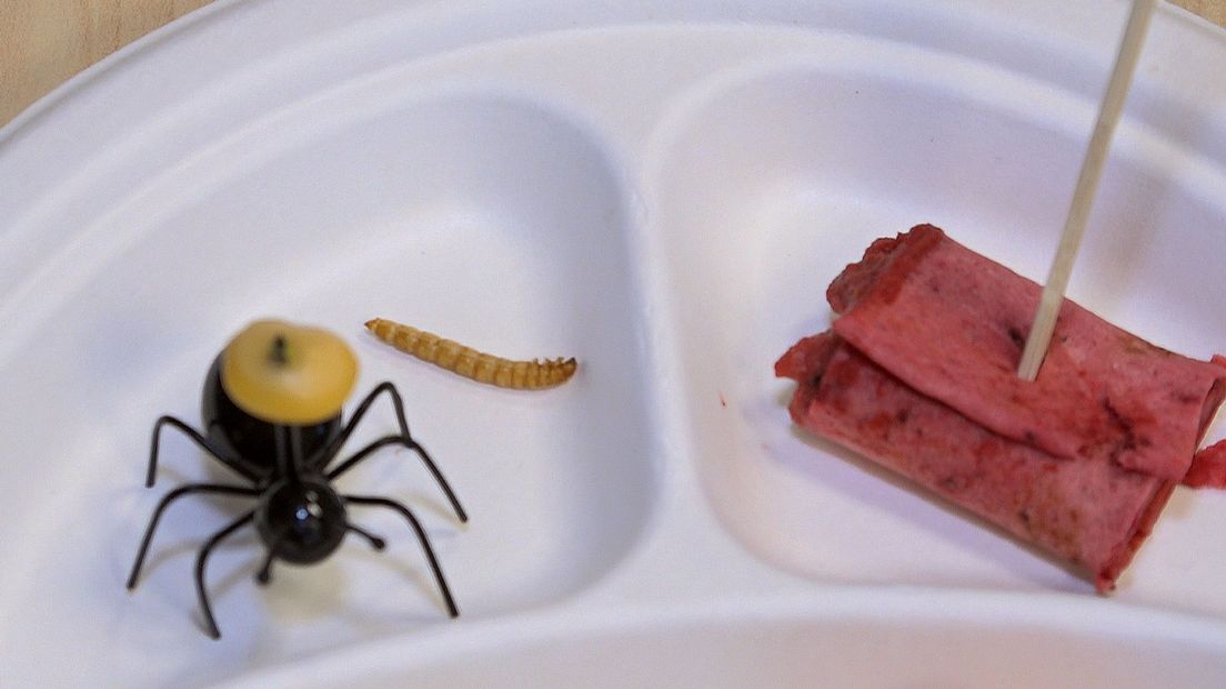 Basisschoolleerlingen eten een meelworm als alternatief voor vlees