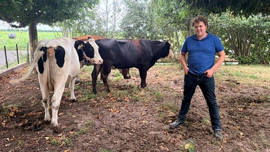 Dolf lijdt tienduizenden euro's schade per jaar door ganzen: 'Het past bij mijn manier van boeren' Home