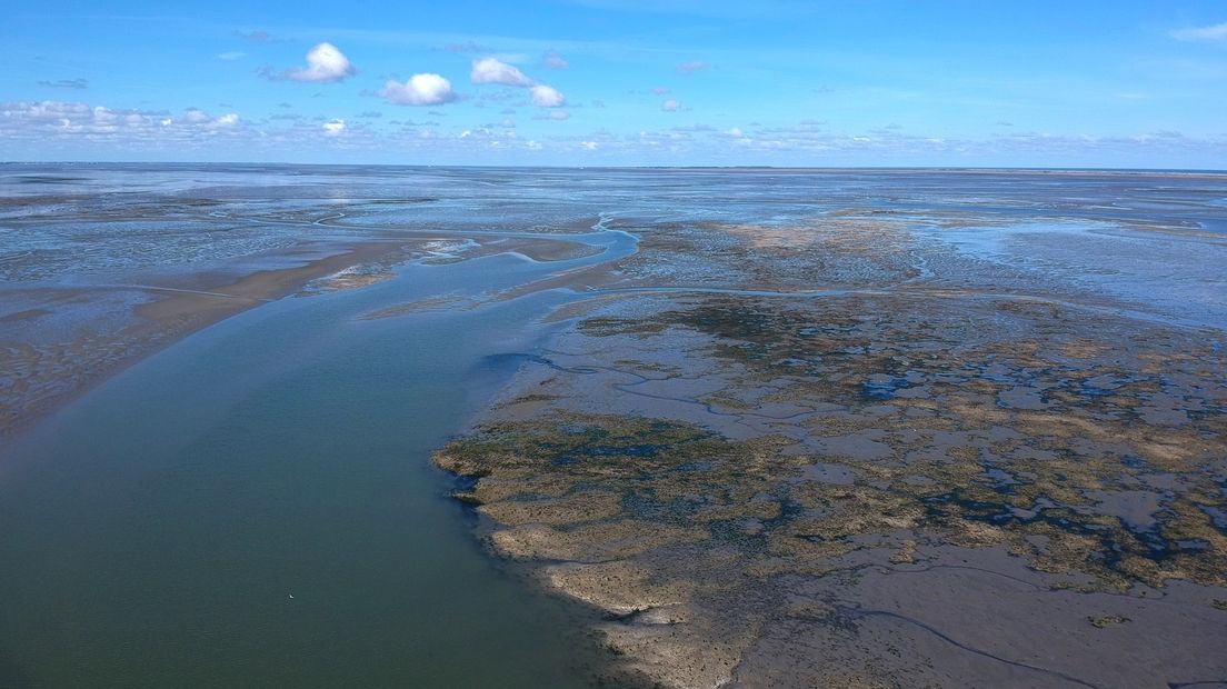 De Waddenzee