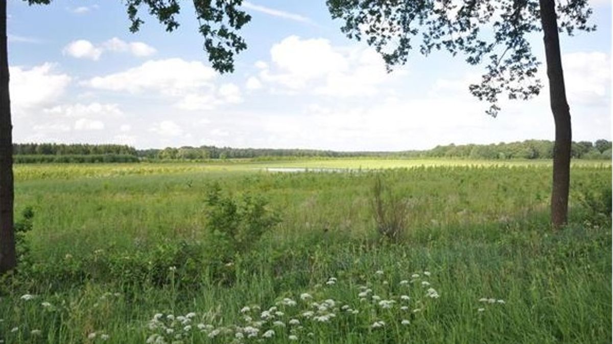 In Hooghalen staat de grootste kavel van Nederland te koop