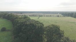 Balloërveld met de schaapskudde vanuit de lucht