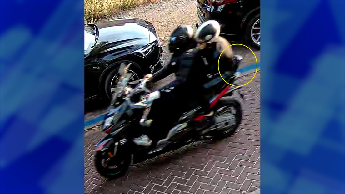 De rugsteun