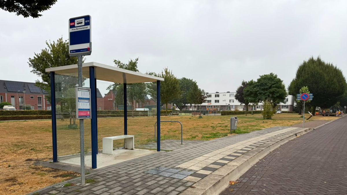 Zwartrijders mishandelen buschauffeur: slachtoffer per ambulance naar ziekenhuis
