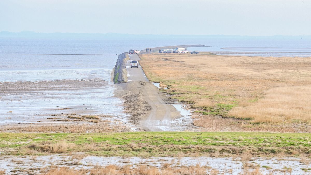 Stoffelijk overschot aangetroffen aan de Waddenkust bij Peazens
