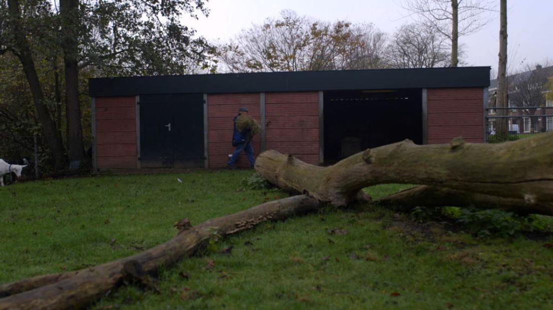 Eerste Hulp bij Eenzaamheid