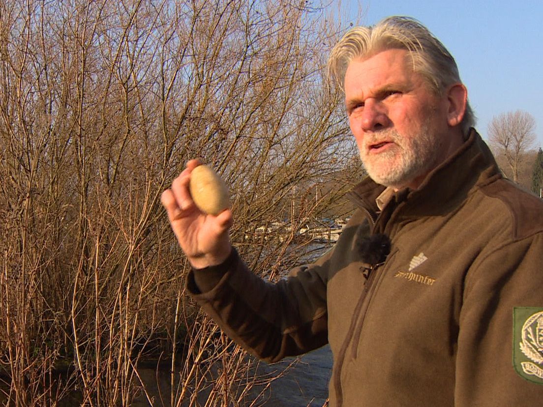 Boswachter Henk Suurbach met een ganzenei