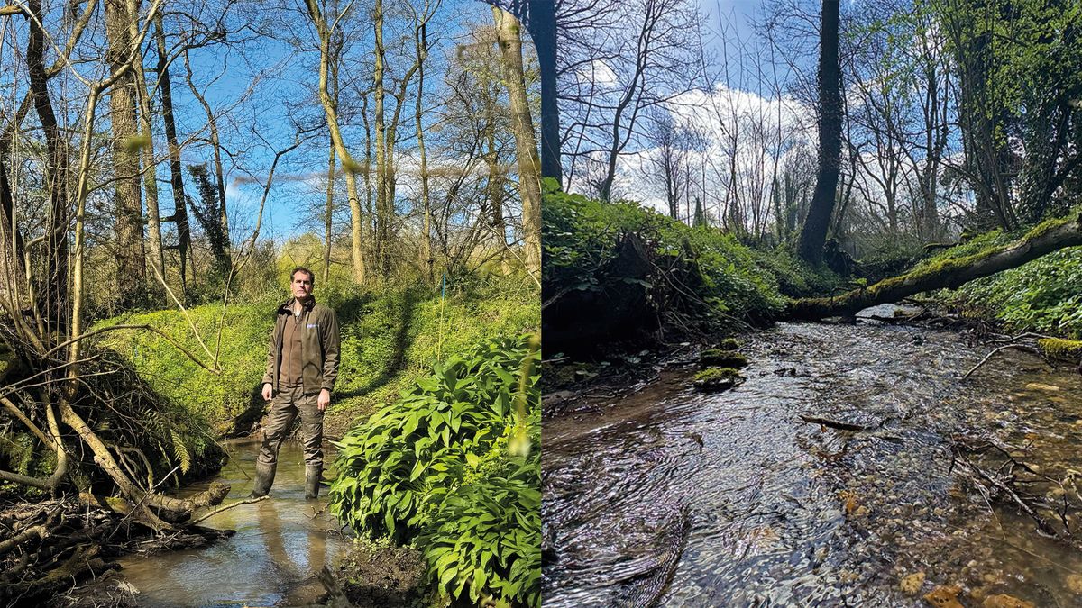 Zorgen om bijzonder natuurgebied in Zuid-Limburg: 'Als dit zo doorgaat verdwijnt een heel milieu'