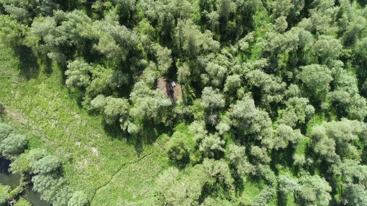 Mannen kweken hennep in beschermd natuurgebied Strijensas