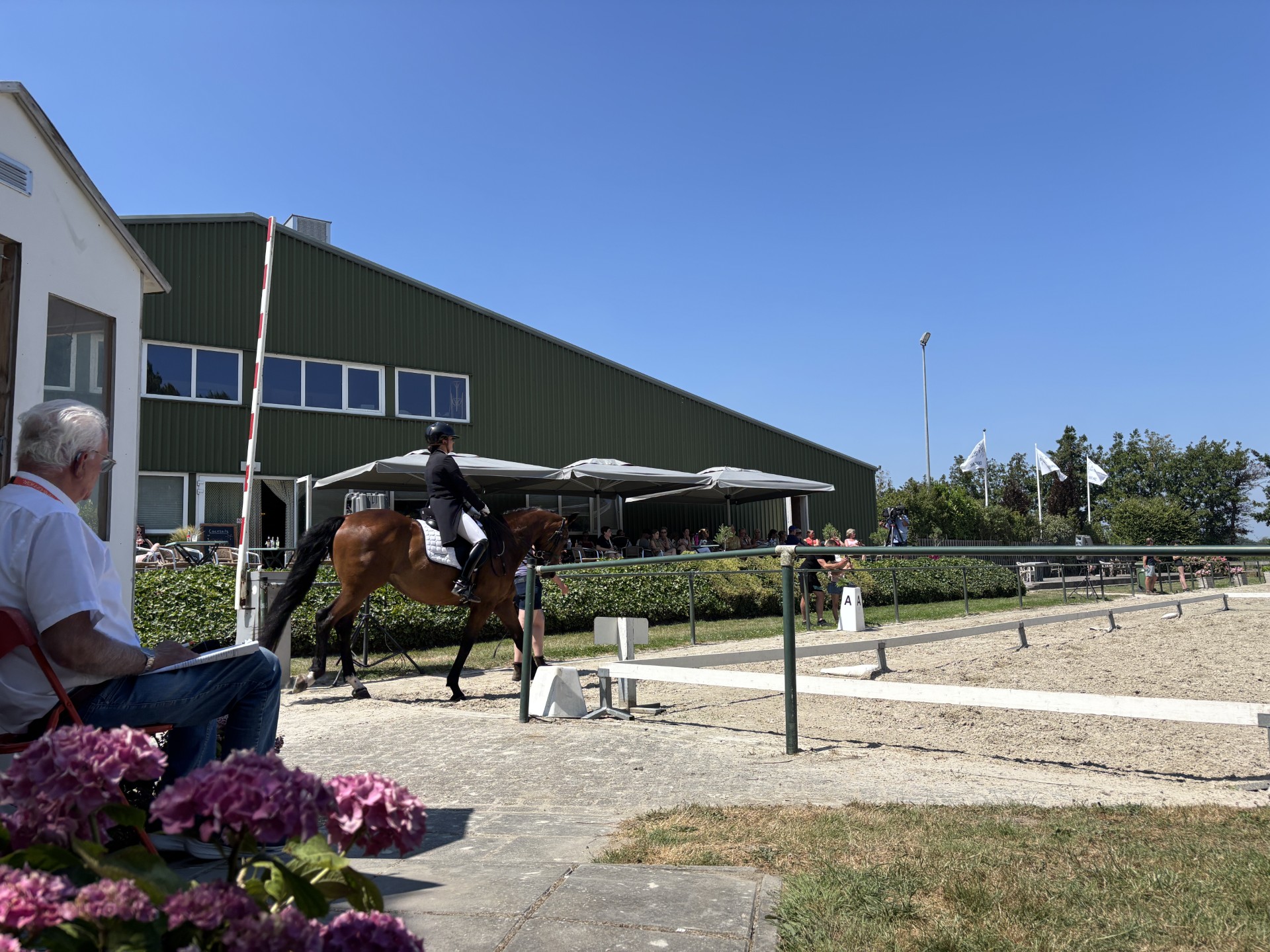 Van 'ponykamp voor volwassenen' tot Grand Prix: Zeeland Outdoor Dressage trekt honderden combinaties