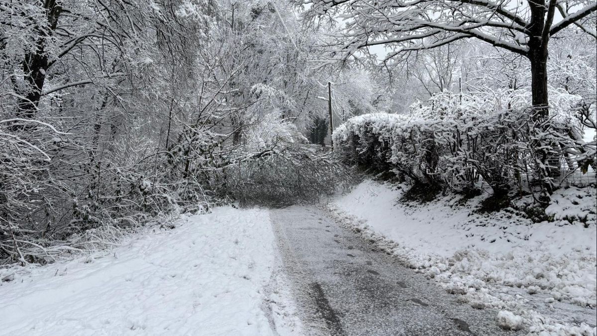 Drukte verwacht in besneeuwd Vijlenerbos, maar wandelen niet zonder risico