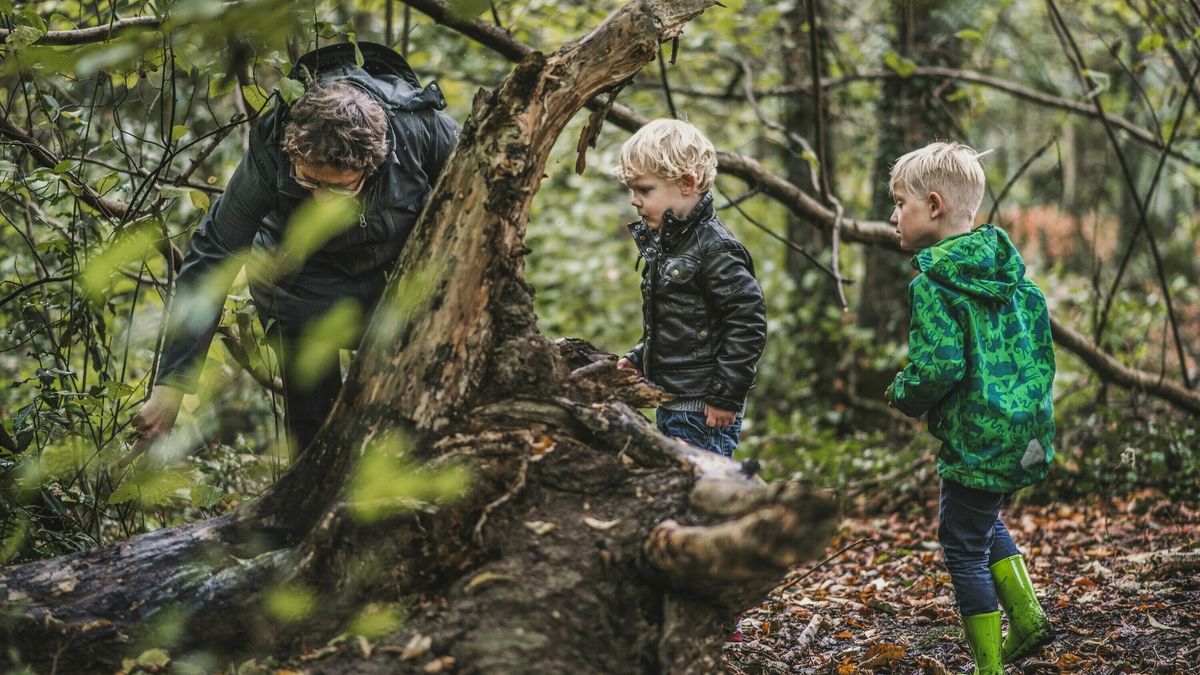 Wat is er dit weekend te doen in Drenthe?