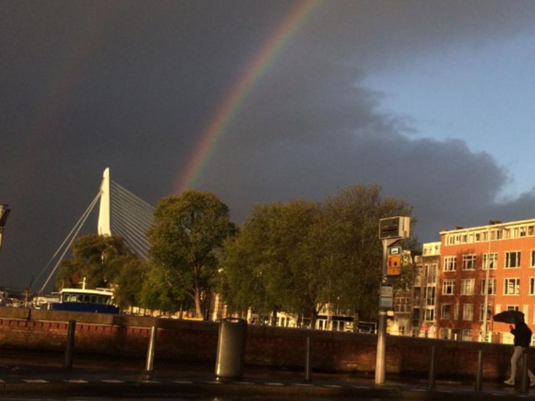 Vanaf de Koninginnebrug in Rotterdam maakte Irene v.d. Padt deze foto