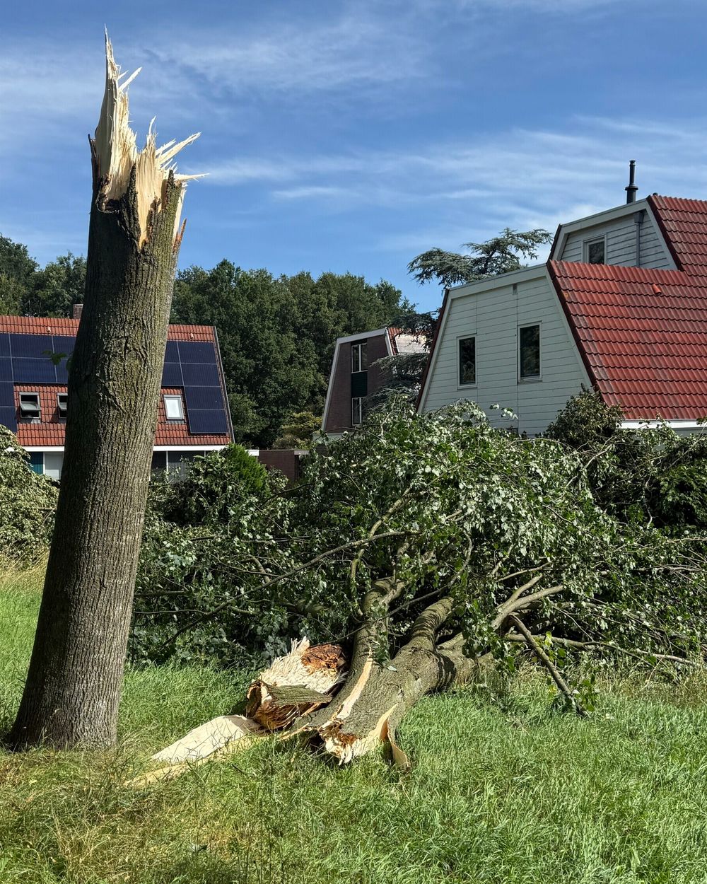 de-week-van-drenthe-duizenden-euro-s-stormschade-en-asser-wijk