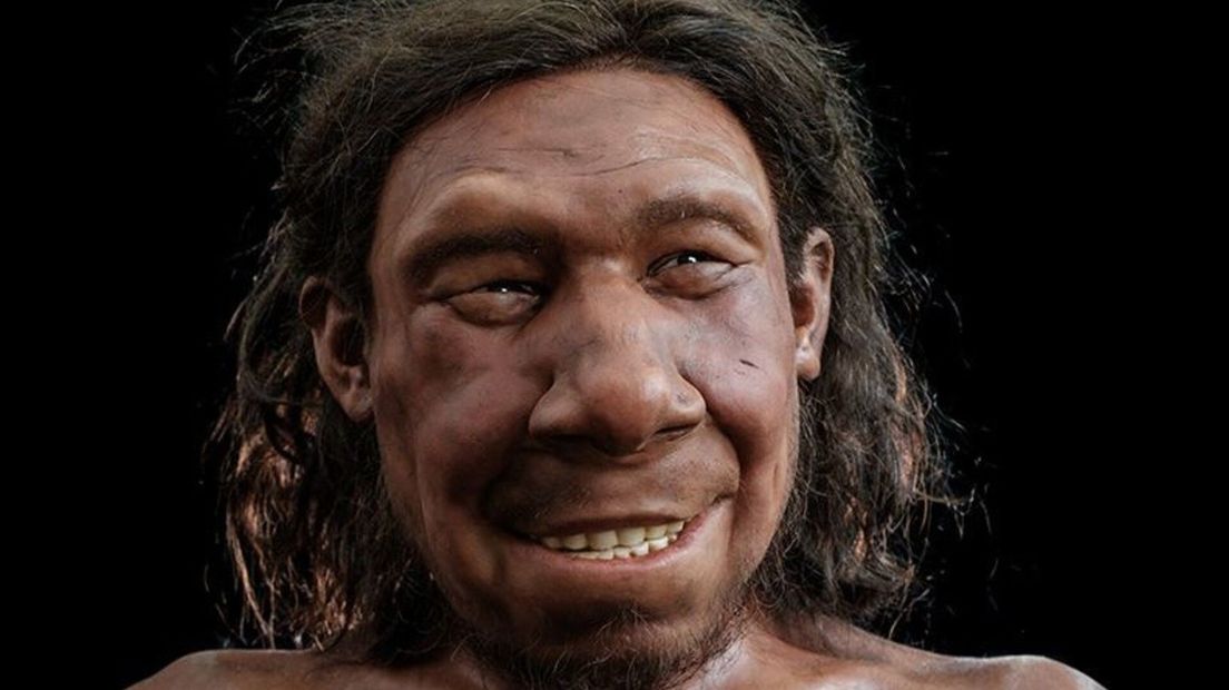 Het gezicht van Neanderthaler Krijn