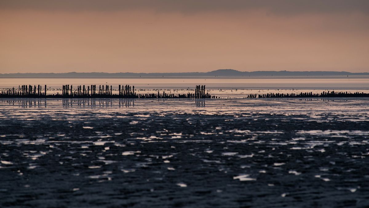 NAM in beroep tegen ministerie om uitblijven besluit gaswinning Ternaard