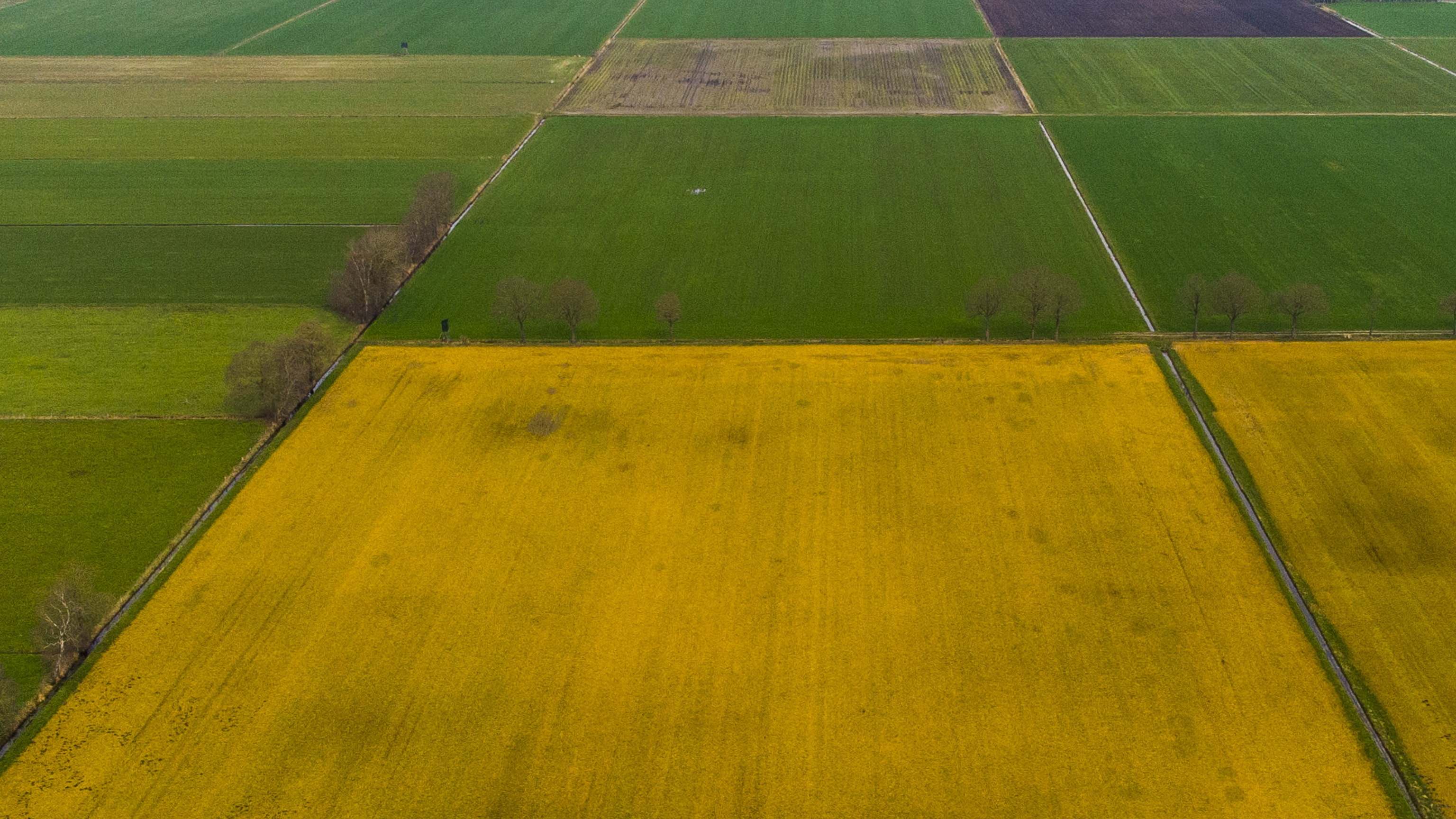 Verkleurde landbouwgrond
